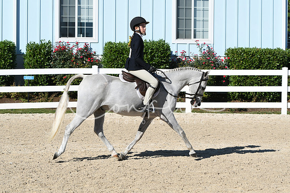 HSM_2319
