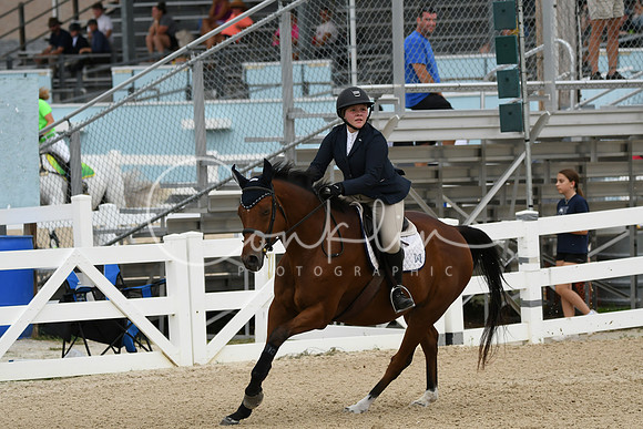 HSM_2911