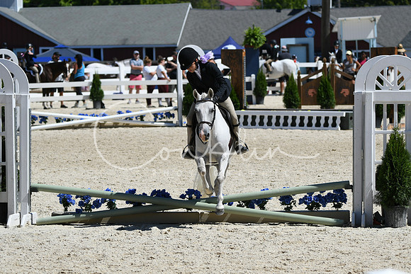 HSM_2896