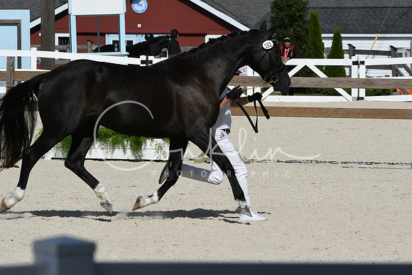 HSM_5208