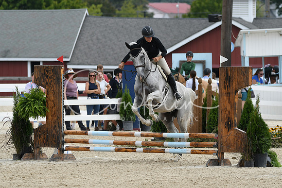 HSM_2441