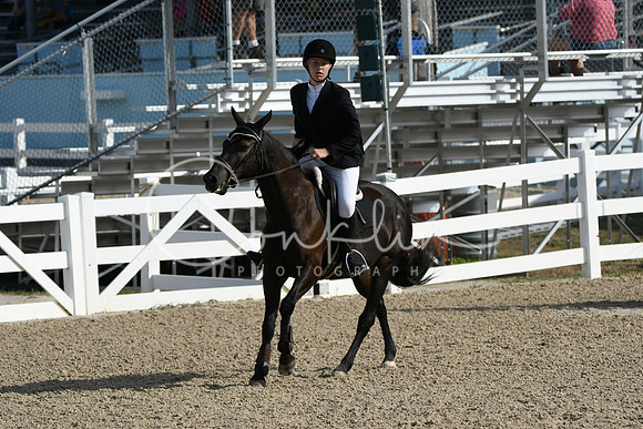HSM_1510