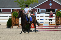 HSM_0849