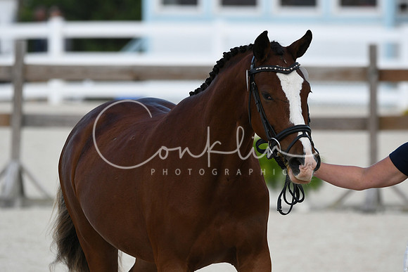 HSM_5347