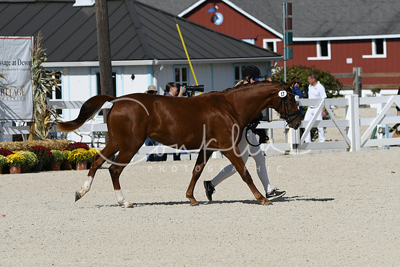 HSM_5184
