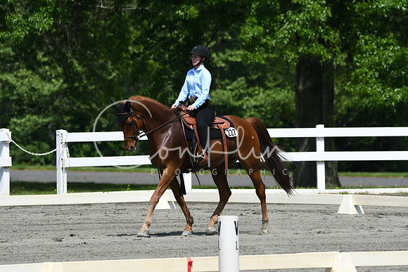 HSM_2834