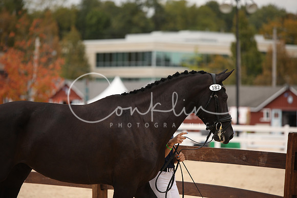 BW241383