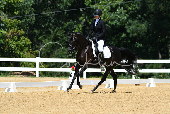 HSM_1288