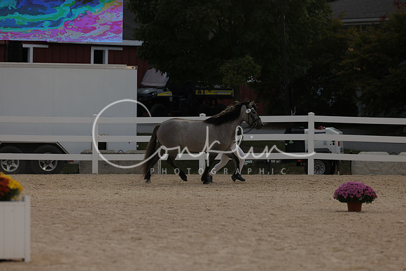 HLK_2407
