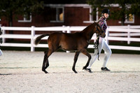 HSM_5829
