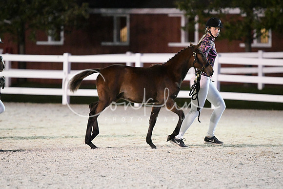 HSM_5829
