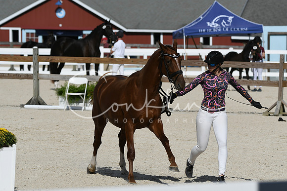 HSM_5183