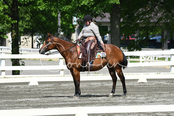 HSM_2679