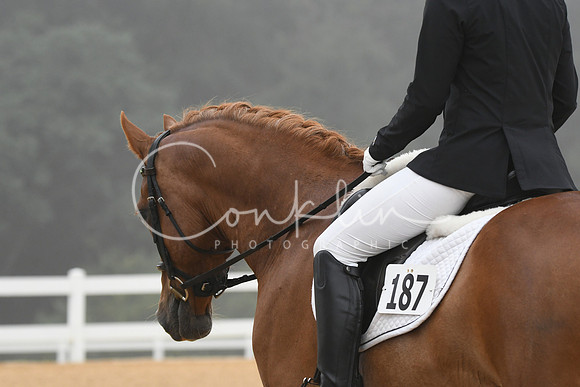HSM_0708