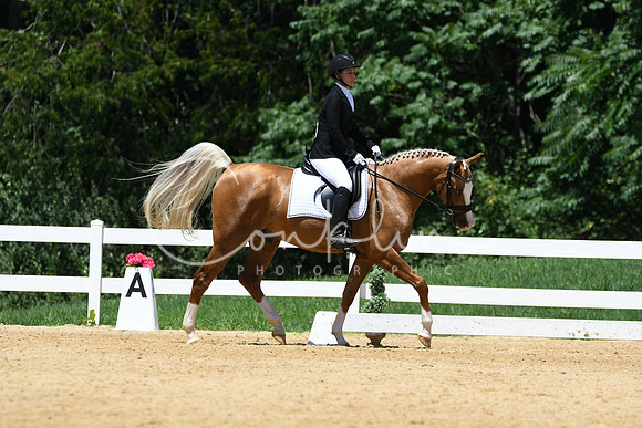 HSM_1400