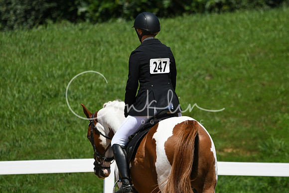 HSM_1303