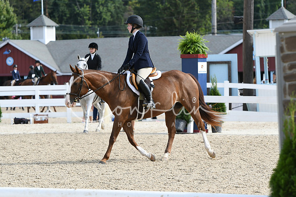 HSM_6066