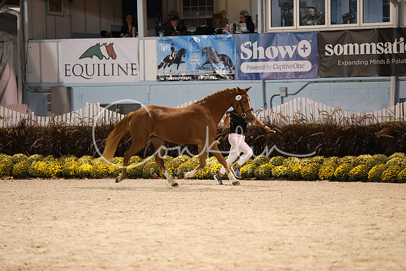 RJC33672