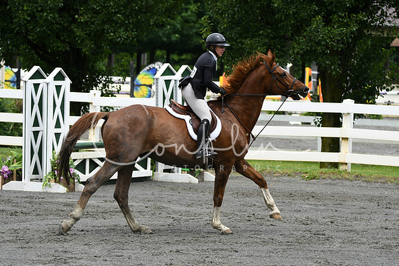 HSM_3949