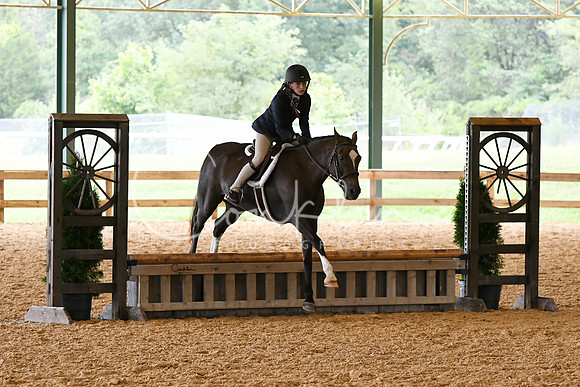 HSM_1246-1