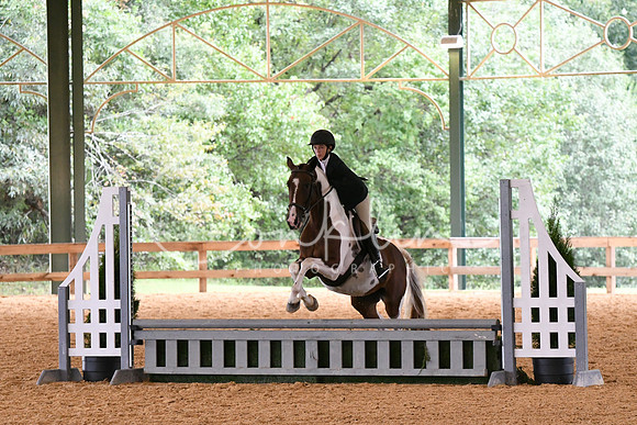 HSM_1341