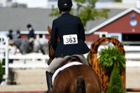 HSM_9595