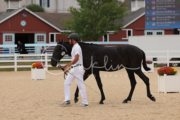 HLK_0436
