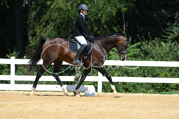 HSM_1242