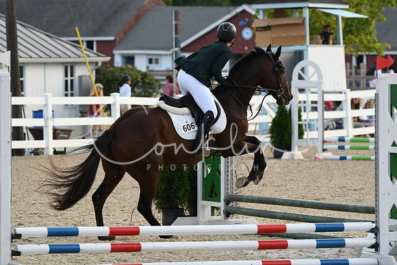 HSM_1036