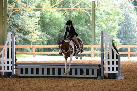 HSM_1133
