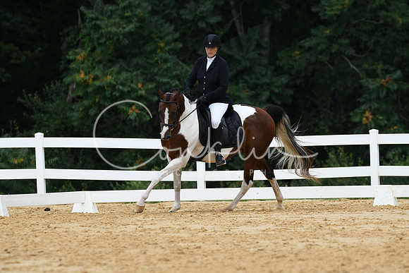 HSM_0446