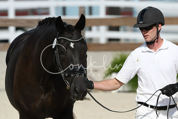 HSM_5201