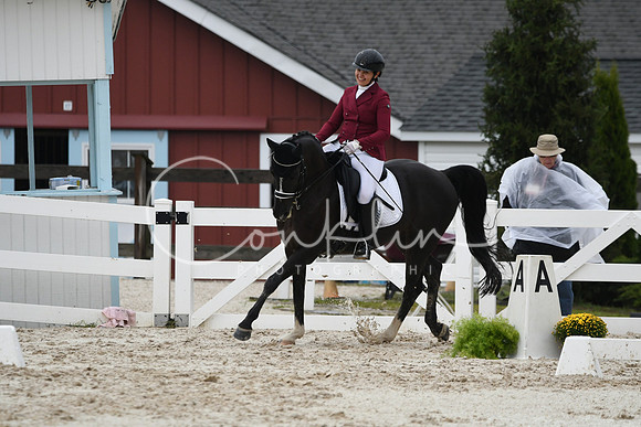 HSM_8196