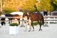 HSM_5686