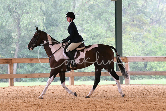 HSM_2303