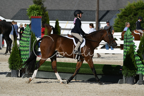 HSM_4276