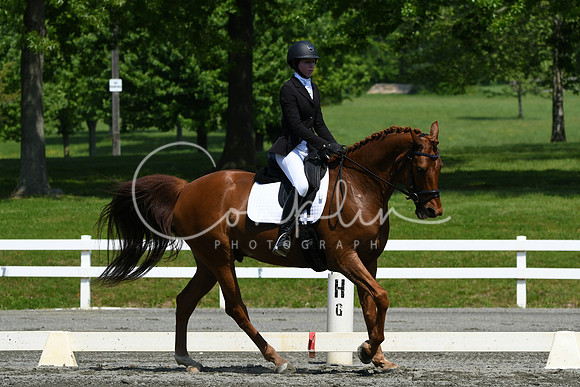 HSM_2293
