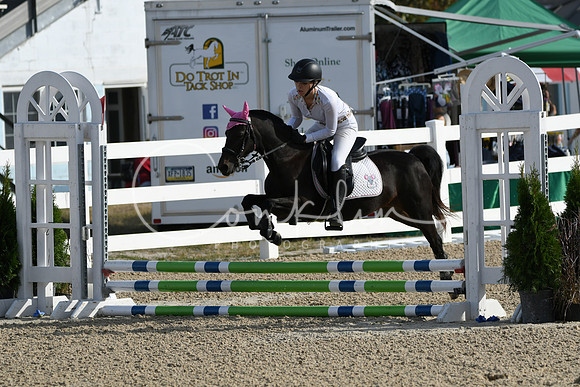 HSM_1461