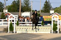 HSM_0262