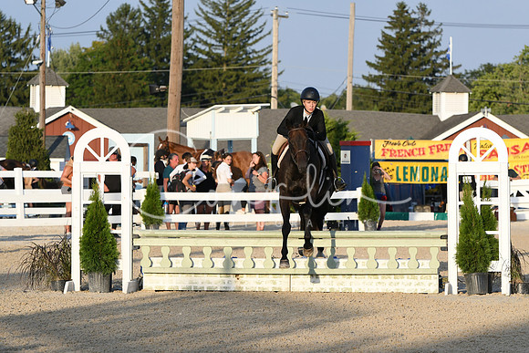 HSM_0262