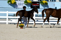 HSM_4429
