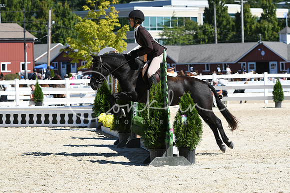 HSM_2755