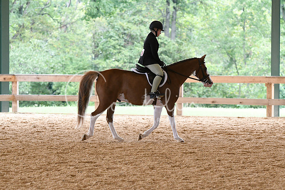 HSM_8308