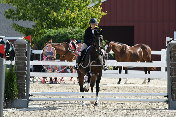 HSM_1771