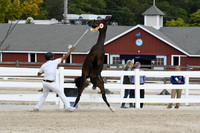 HSM_6190