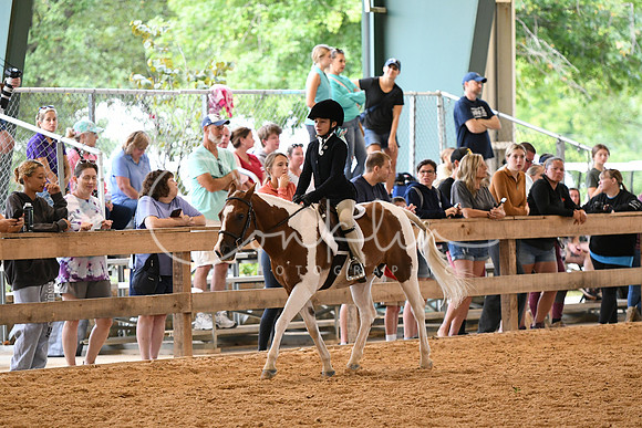 HSM_0860