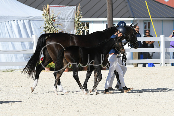 HSM_5319
