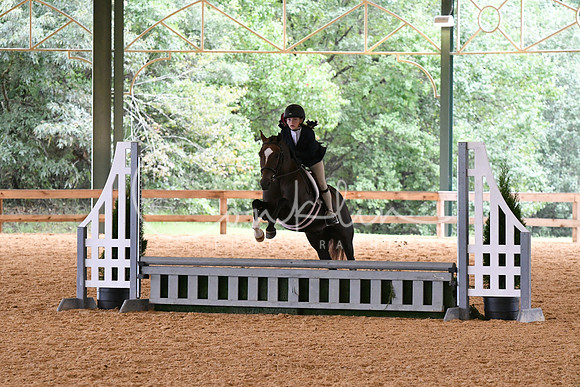 HSM_1247