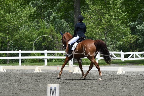 HSM_0264