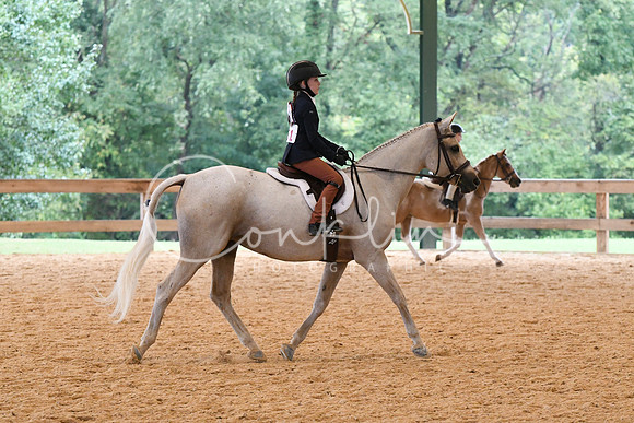 HSM_4922